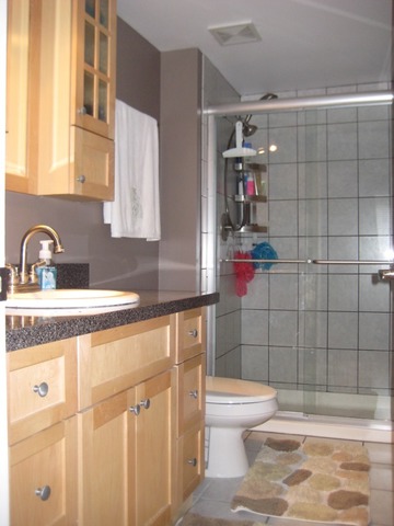 9197 North Rd #F, Palos Hills, IL 60465 photo 18