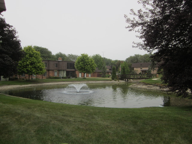 9197 North Rd #F, Palos Hills, IL 60465 photo 24