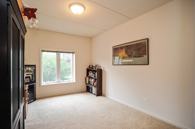 1277 E Thacker St #307, Des Plaines, IL 60016 photo 12