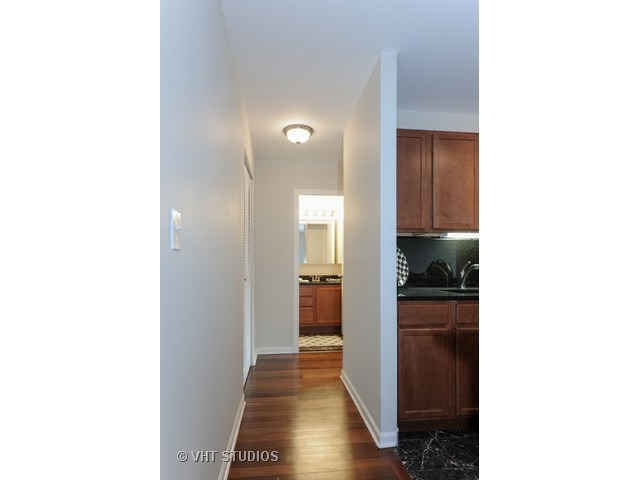 222 E Pearson St #2304, Chicago, IL 60611 photo 5
