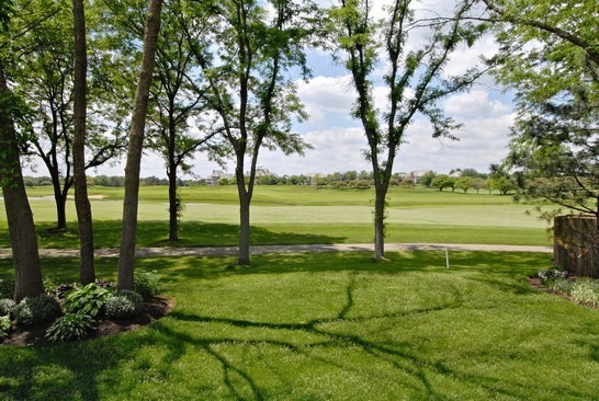 1291 Cranbrook Cir, Aurora, IL 60502 photo 24