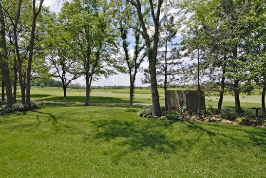 1291 Cranbrook Cir, Aurora, IL 60502 photo 22
