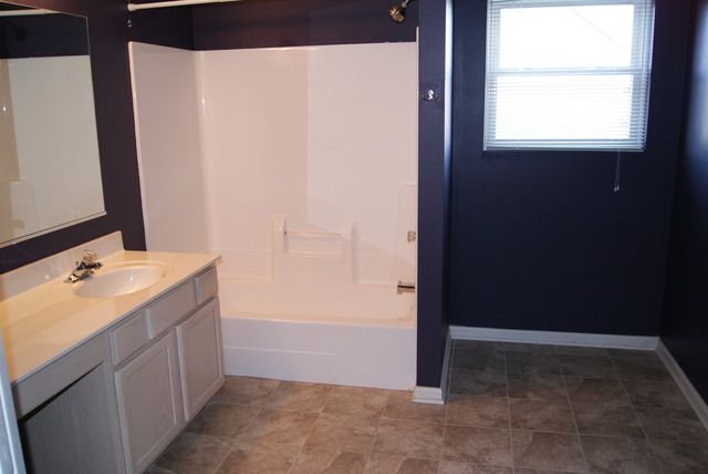 24036 Nightingale Ct, Plainfield, IL 60585 photo 9