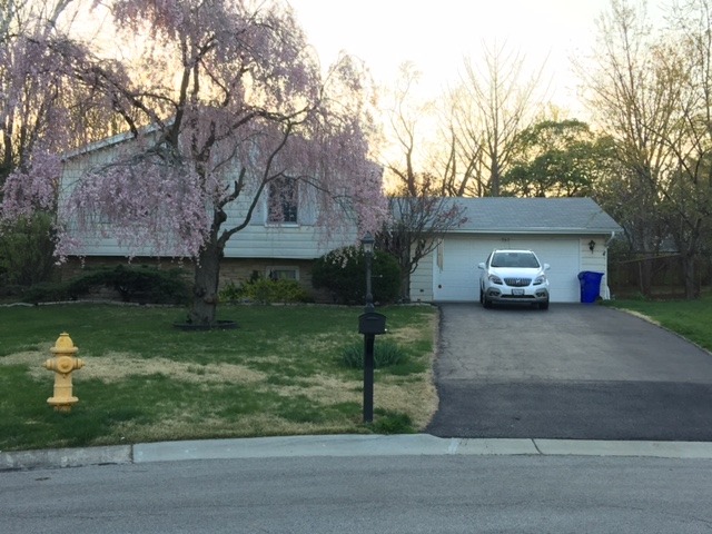 763 Ralph Ct, Wheaton, IL 60187 photo 1