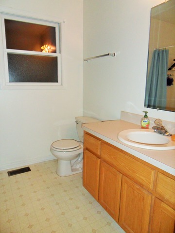 6905 Gallatin Dr, Plainfield, IL 60586 photo 17