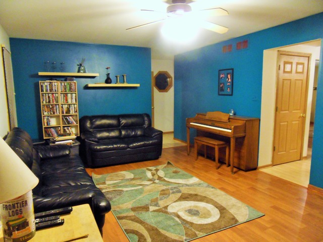 6905 Gallatin Dr, Plainfield, IL 60586 photo 9