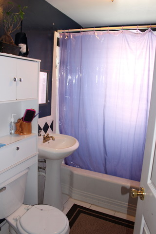 1545 S Maple Ave, Berwyn, IL 60402 photo 7
