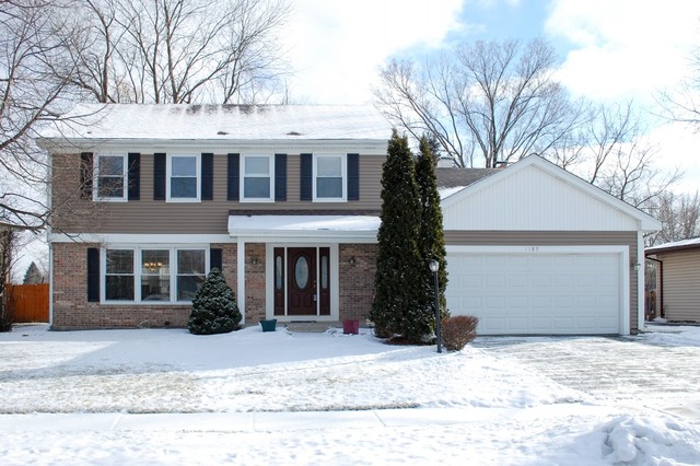 1189 Princeton Dr, Bartlett, IL 60103 photo 22