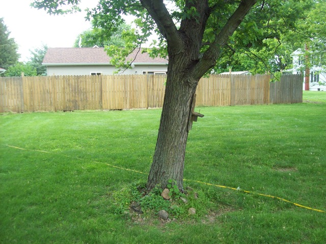 111 Clark St, Walnut, IL 61376 photo 4