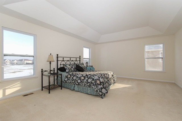 216 Primrose Ln, Bartlett, IL 60103 photo 10