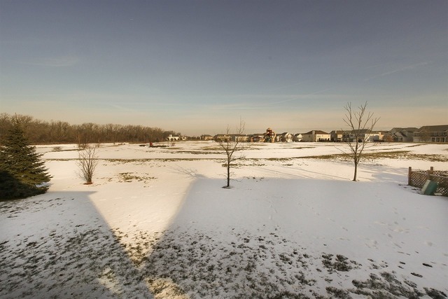 216 Primrose Ln, Bartlett, IL 60103 photo 25