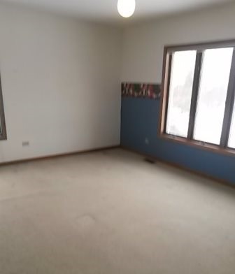 20206 Mohawk Trl, Olympia Fields, IL 60461 photo 11