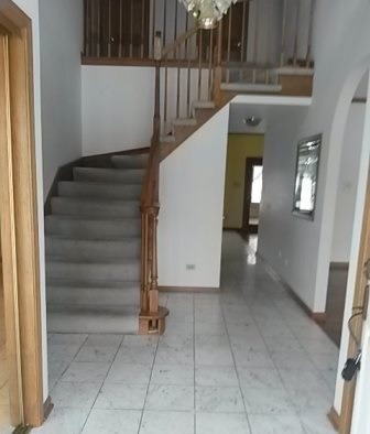20206 Mohawk Trl, Olympia Fields, IL 60461 photo 2