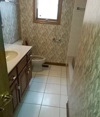 20206 Mohawk Trl, Olympia Fields, IL 60461 photo 6