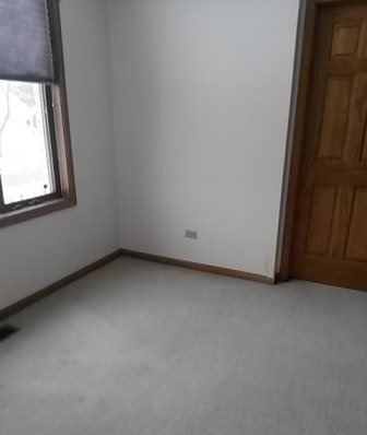 20206 Mohawk Trl, Olympia Fields, IL 60461 photo 12