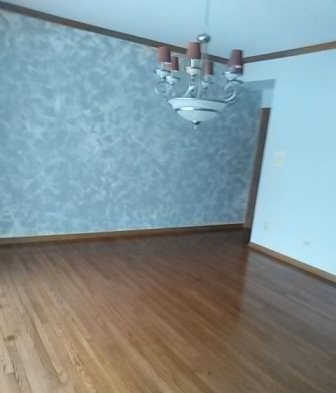 20206 Mohawk Trl, Olympia Fields, IL 60461 photo 5
