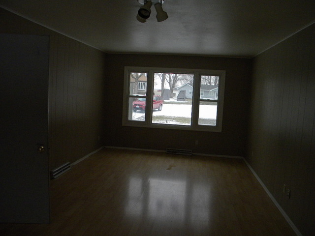 1224 Susan Cir, Morris, IL 60450 photo 6