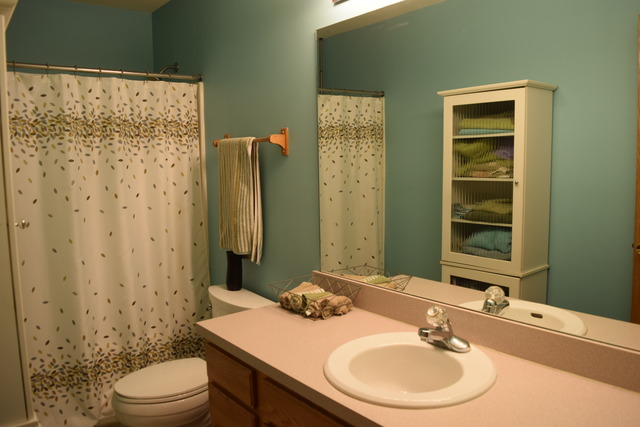 2606 Sierra Ave, Plainfield, IL 60586 photo 20