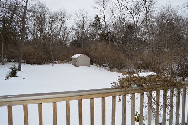 11923 Devonshire Rd, Algonquin, IL 60102 photo 24