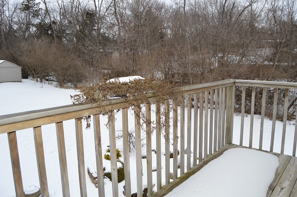 11923 Devonshire Rd, Algonquin, IL 60102 photo 22