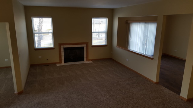 21345 W Juniper Ln, Plainfield, IL 60544 photo 5
