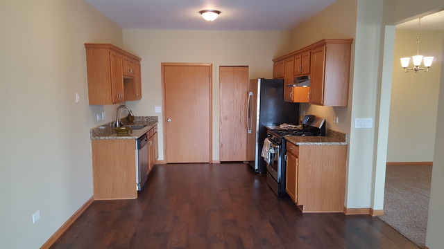 21345 W Juniper Ln, Plainfield, IL 60544 photo 7