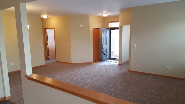 21345 W Juniper Ln, Plainfield, IL 60544 photo 6