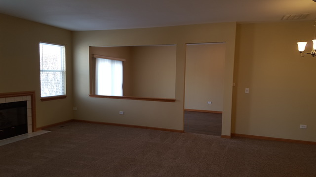 21345 W Juniper Ln, Plainfield, IL 60544 photo 3
