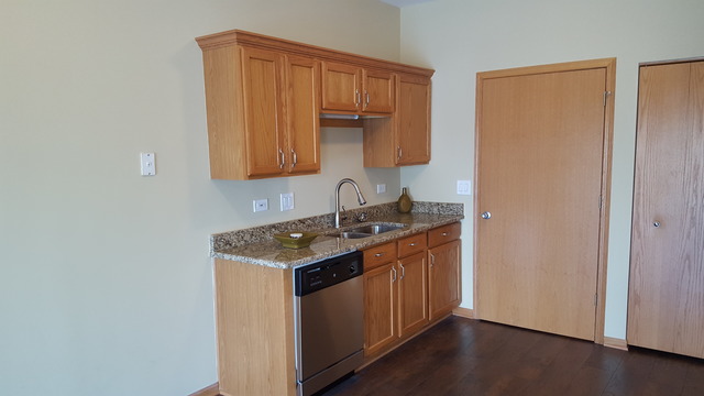 21345 W Juniper Ln, Plainfield, IL 60544 photo 9