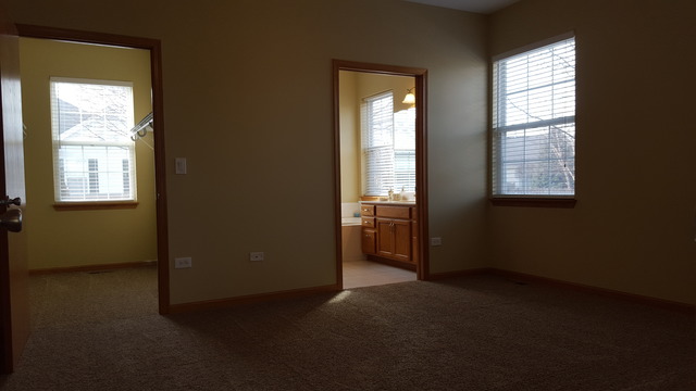 21345 W Juniper Ln, Plainfield, IL 60544 photo 11