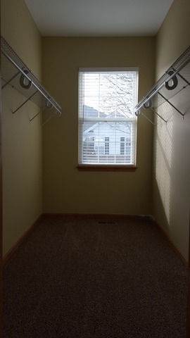 21345 W Juniper Ln, Plainfield, IL 60544 photo 12