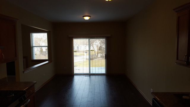 21345 W Juniper Ln, Plainfield, IL 60544 photo 10
