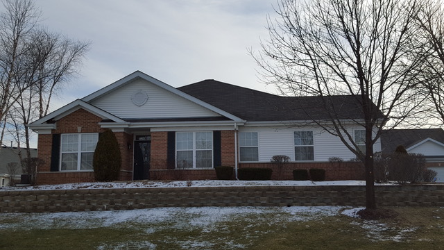 21345 W Juniper Ln, Plainfield, IL 60544 photo 1