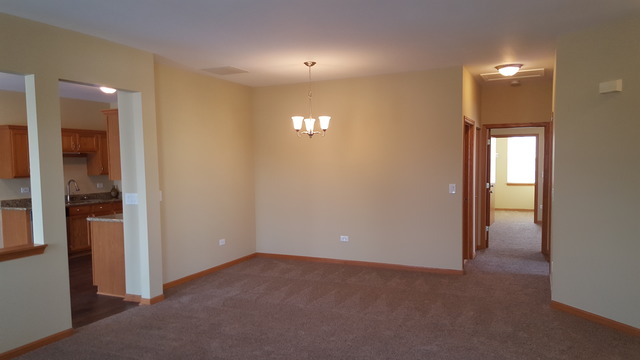 21345 W Juniper Ln, Plainfield, IL 60544 photo 2