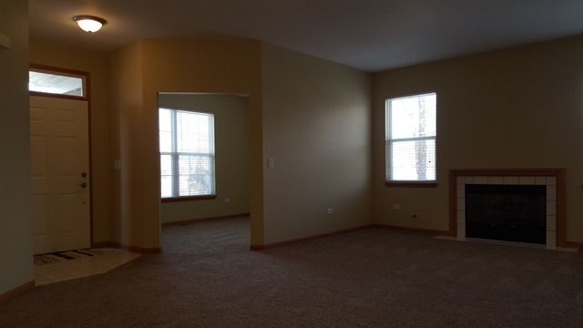 21345 W Juniper Ln, Plainfield, IL 60544 photo 4
