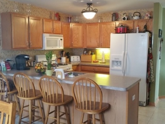 289 Mallards Cv, Beecher, IL 60401 photo 17