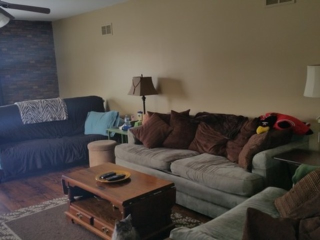 289 Mallards Cv, Beecher, IL 60401 photo 15