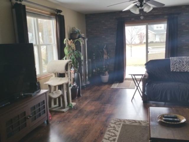 289 Mallards Cv, Beecher, IL 60401 photo 14