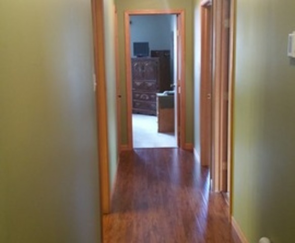 289 Mallards Cv, Beecher, IL 60401 photo 13