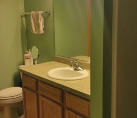 289 Mallards Cv, Beecher, IL 60401 photo 12