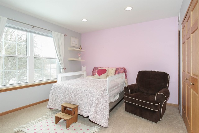 5490 Nicholson Dr, Hoffman Estates, IL 60192 photo 14