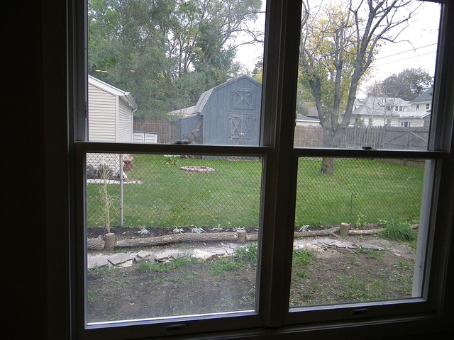 1415 E Walnut Ave, Des Plaines, IL 60016 photo 6