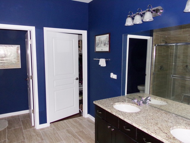 598 Tuscan View Dr, Elgin, IL 60124 photo 14