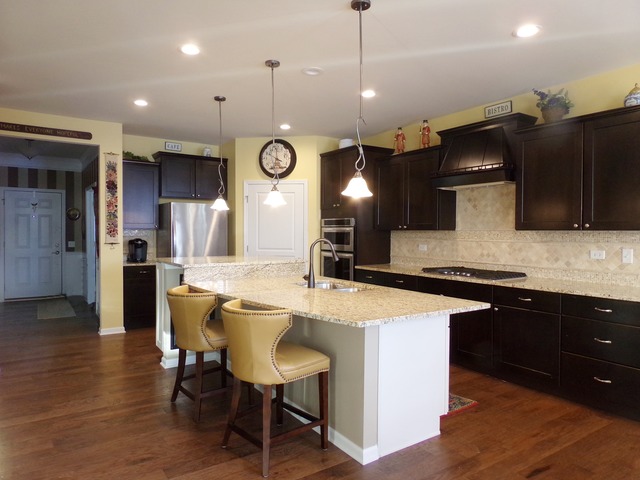 598 Tuscan View Dr, Elgin, IL 60124 photo 4