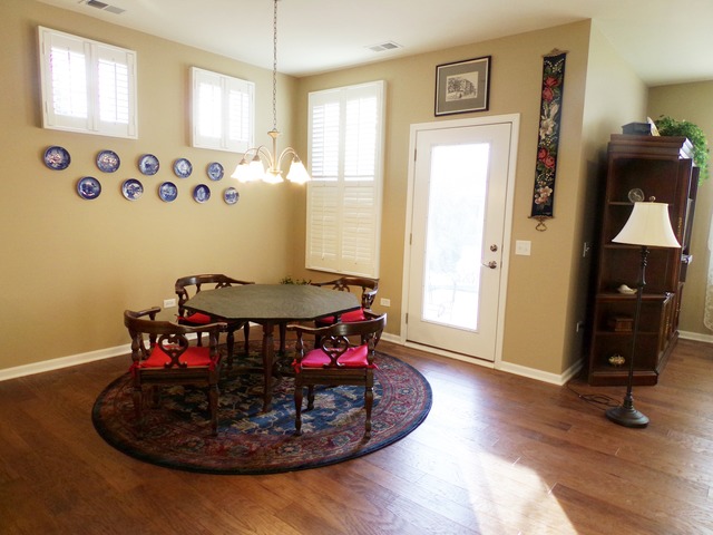 598 Tuscan View Dr, Elgin, IL 60124 photo 9