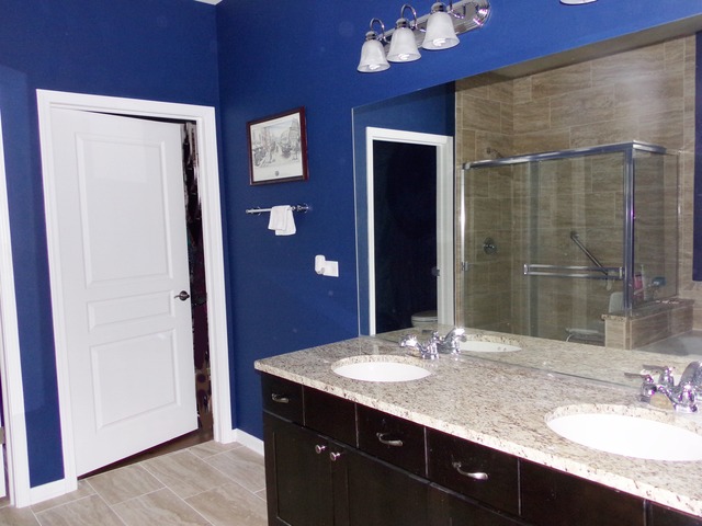 598 Tuscan View Dr, Elgin, IL 60124 photo 13