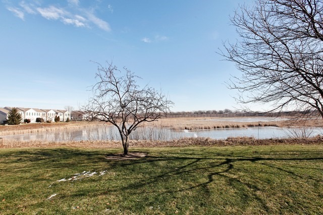 2502 Oak Tree Ln, Plainfield, IL 60586 photo 19