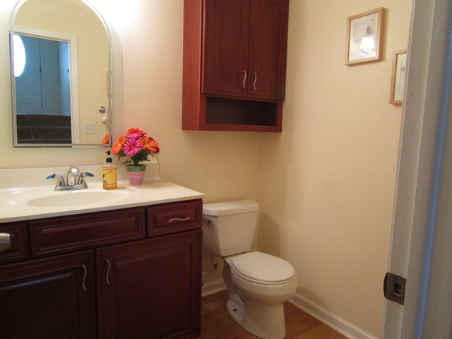 1209 Driftwood Ln, Bartlett, IL 60103 photo 11