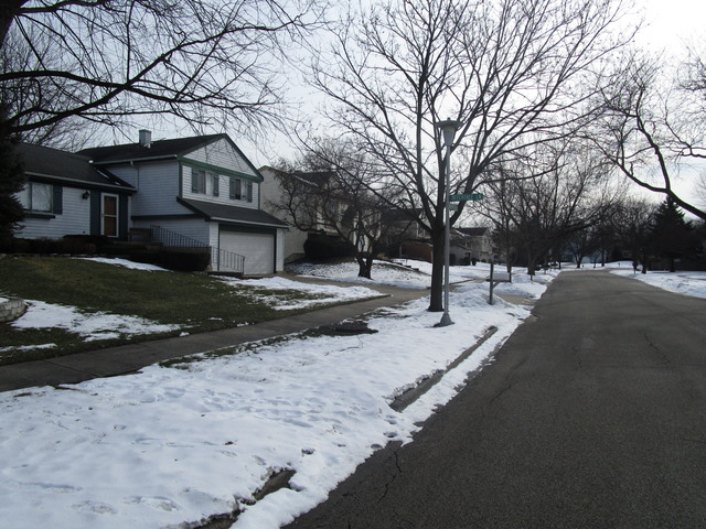 1209 Driftwood Ln, Bartlett, IL 60103 photo 18
