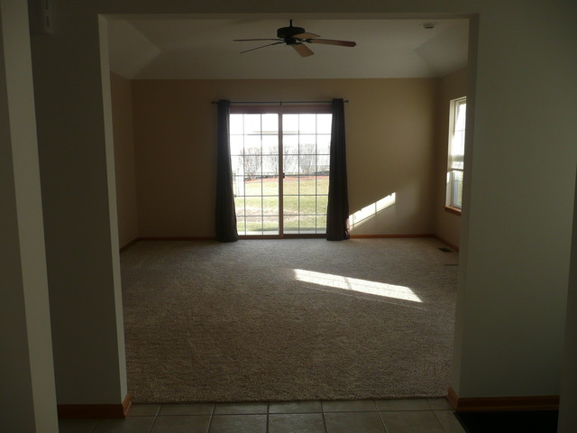 1391 Somerset Dr, Beecher, IL 60401 photo 12